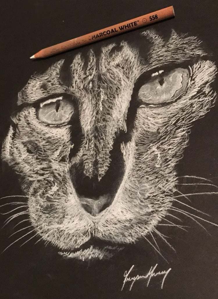 A cat's head using only white colored pencil on black canvas.