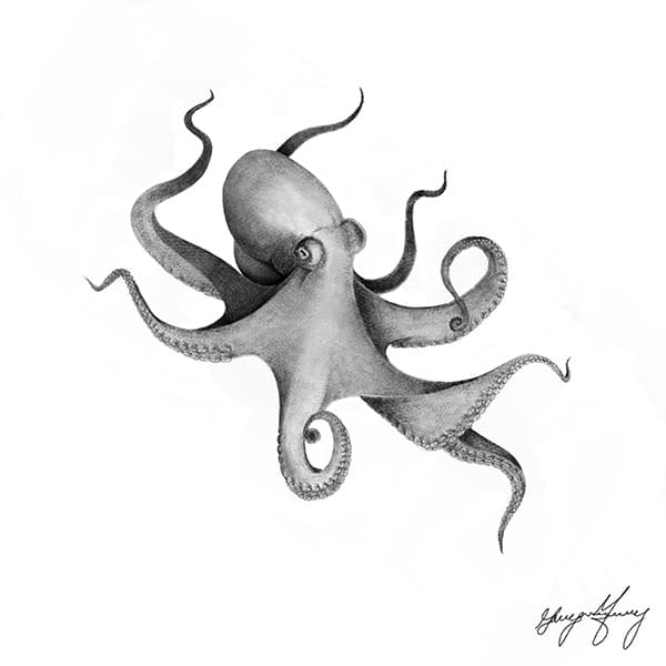 Black and white digital painting of an octopus.